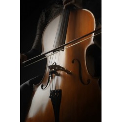 Prodipe CL21 micro pour violoncelle 