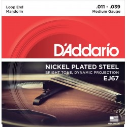 D'addario EJ67 Cordes pour mandoline 11/39