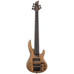Basse B1000 5 cordes Natural Satin