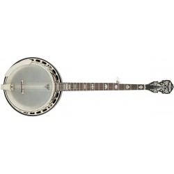 Fender Deluxe Concert Tone 58 Banjo With Case, Rosewood Fingerboard, Cherry Sunburst