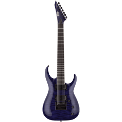 Signature Brian "Head" Welch see thru purple