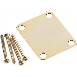 Fender 4-Bolt Vintage Neck Plate "Plain" (No Serial Number or Logo) (Gold)