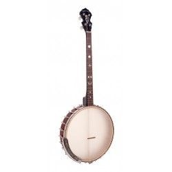 Banjo ténor irlandais avec 19 frettes, housse incluse