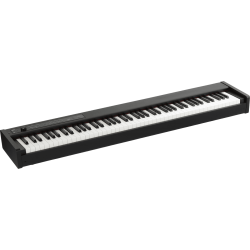 PIANO D1