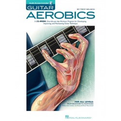 AEROBICS GUITAR BY TROY NELSON