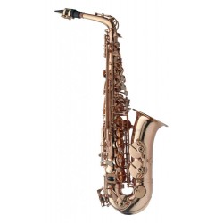 1 Saxophone Alto d'occasion Levante