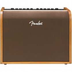 Fender Acoustic 100