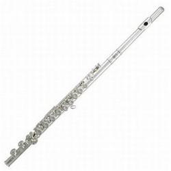 1 Roy Benson Flute traversiere- Occasion