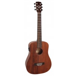 Earth Mini F-M Acajou NAT Electro-Acoustique