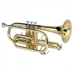 Cornet Sib en étui Alysee