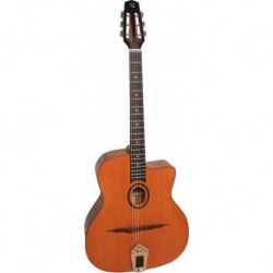 Nash  acoustic dreadnought gaucher