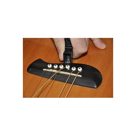 swiss bass luthier anti aging legjobb anti aging termékek 20 évesek számára