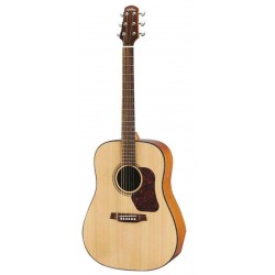 Guitare acoustique  WAD550