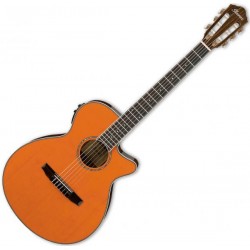 Ibanez AEG10NII TNG Mandarine