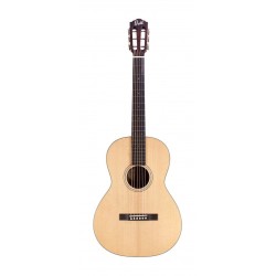 Guitare acoustique P-240...