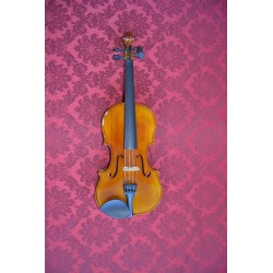 Violon Stagg 1/2