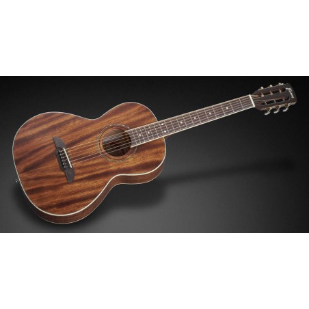 Framus Legacy Series FP 14 M Parlor - Natural Transparent Satin 