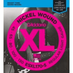 D'Addario ESXL170-5