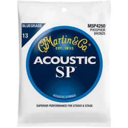 Acoustic SP 92/8 phosphore bronze Bluegrass