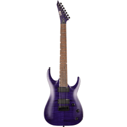 LTD SH-207/FM/SEE THUR PURPLE