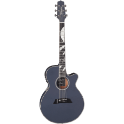 Limited Edition 2019 Thinline Moon