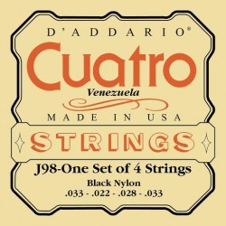 D'Addario J98