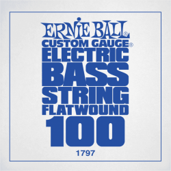 Slinky flatwound 100