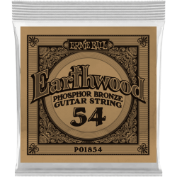 Earthwood phosphore bronze 054