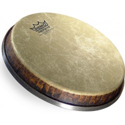 Peau Mondo 9.00\" pour Bongo - grande