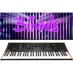 Prologue 16 + Blinds