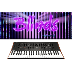 Prologue 8 + Blinds