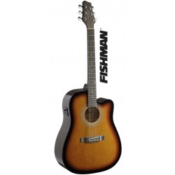 Guitare électro-acoustique, dreadnought pan coupé, avec EQ Fishman