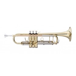 Trompette en Sib, perce ML, branche d'embouchure en laiton plaqué or, avec étui souple