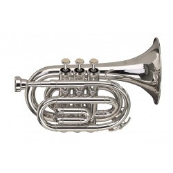 Trompette de poche en sib avec pavillon de trompette en sib standard