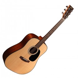 Guitare Acoustique DM-1