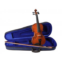 Violon Serie basic 1/4