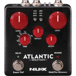 Pédale de Delay Reverb...