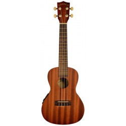 ukulele Malaka...