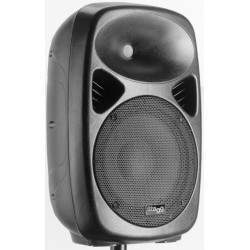 Enceinte active 2 voies de classe A/B, 10\", analogique, technologie sans fil Bluetooth, 100 watts