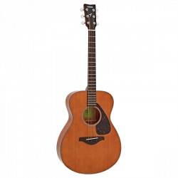 Guitare Acoustique FS800 TINTED02