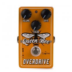CP-503 Queen Bee Overdrive Caline®