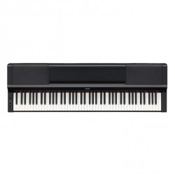 P-225 - Accessoires optionnels - SERIE P - Pianos - Instruments de