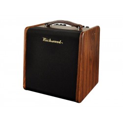 Ampli Acoustique RPF-65...