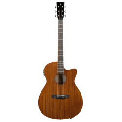 Guitare Electro-Acoustique...