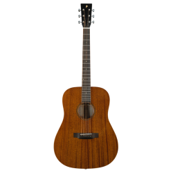Guitare Acoustique SD 250...