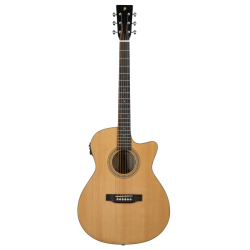 Guitare Electro-Acoustique...