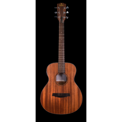 Guitare Electro-acoustique...