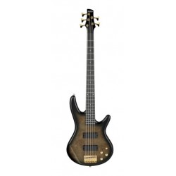 Basse 5 cordes Transparent Pale Black Burst Ibanez