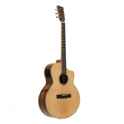 Guitare Electro-Acoustique...