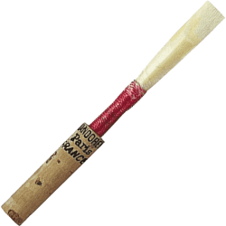 Anche hautbois moyenne